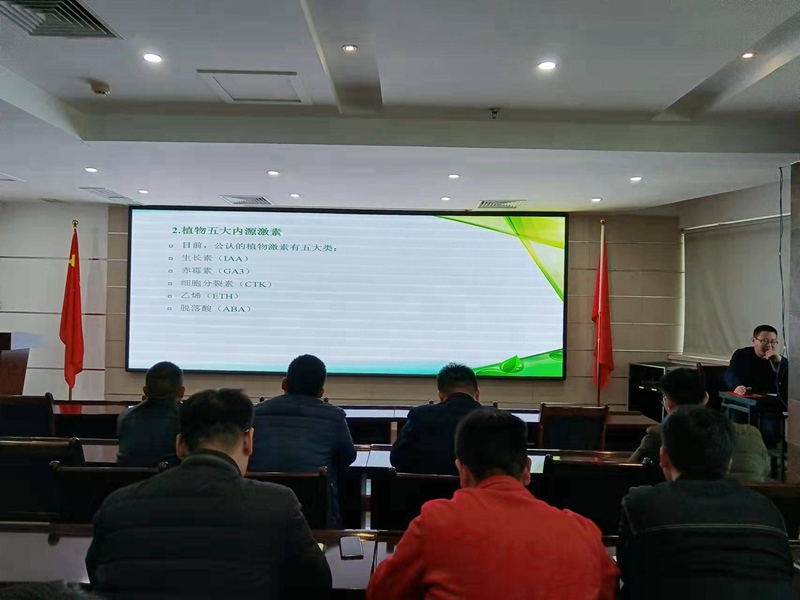 專精專注，進（jìn）而有（yǒu）為——91抖阴下载_（dá）生化組織開展公司內部植保技術培訓（xùn）會(圖3)