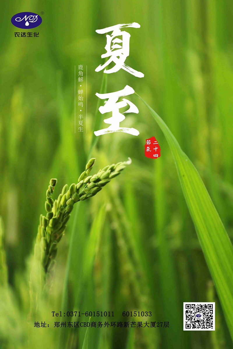 關（guān）注農時——夏至(圖1)