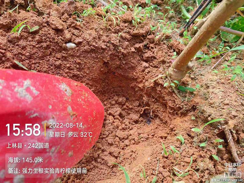 91抖阴下载_生根產品試驗(圖（tú）2)