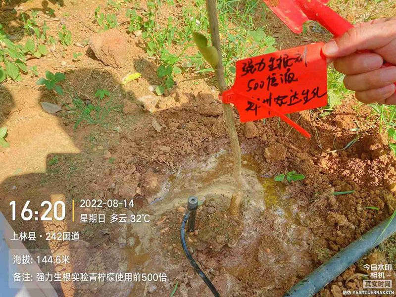 91抖阴下载_生根產（chǎn）品試驗(圖3)