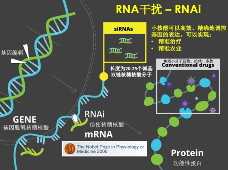 RNA生物農藥商（shāng）業化及發展趨勢(圖1)