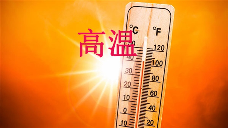 高溫天，使用農（nóng）藥注意（yì）事項(圖1)
