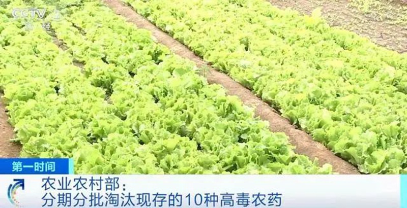 農業農村部:3年內淘汰這(zhè)10種高毒(dú)農藥, 重點治理豇豆、韭菜(cài)、芹菜農殘超標(圖(tú)1) 農業農村部:3年內淘汰這10種高毒農藥, 重點(diǎn)治理豇豆、韭菜、芹菜(cài)農殘超標(圖1)