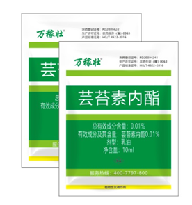 暴雨過（guò）後，玉米急（jí）需這樣補救！(圖2)