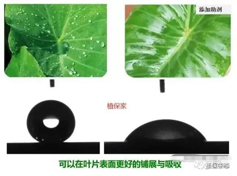 農藥成分和含（hán）量一模一樣，為啥效果差別那麽（me）大？(圖2)