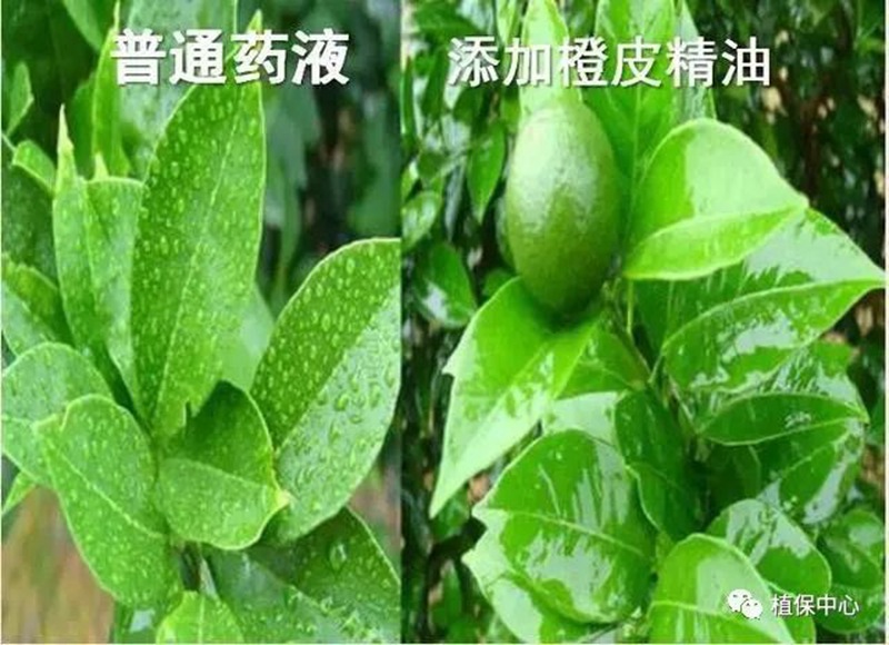 農藥成分和含量一模一樣，為啥效果差別那麽（me）大（dà）？(圖3)